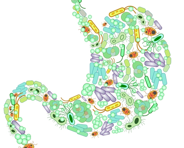 El microbioma humano