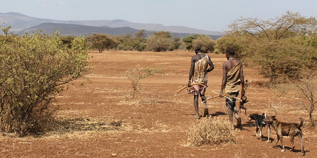 Dos cazadores Hadzabe cazando con sus perros
