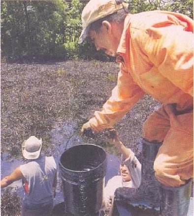 Limpiando un derrame