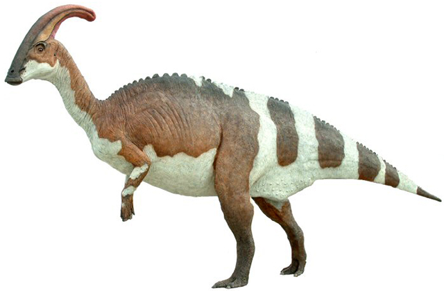 Parasaurolophus