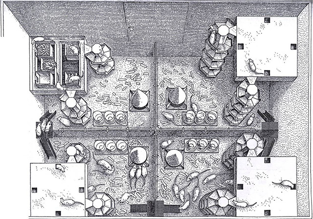 Recinto de ratones, esquema