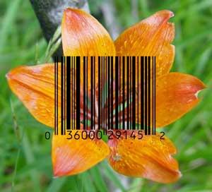 Flor y código de barras