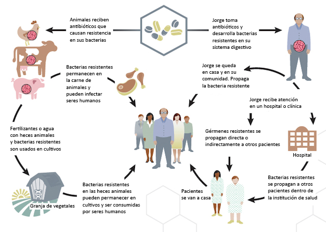 Diagrama de bacterias resistentes