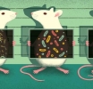 La dieta durante la niñez y el microbioma en la edad adulta