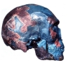 Restos de sapiens de hace 230 mil años