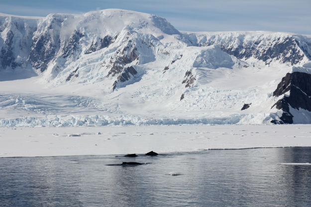 La Antártida Occidental contiene más de 100 volcanes bajo su casquete polar La Antártida Occidental contiene más de 100 volcanes bajo su casquete polar