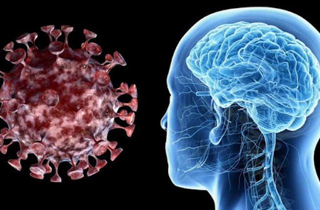El efecto de covid en el cerebro