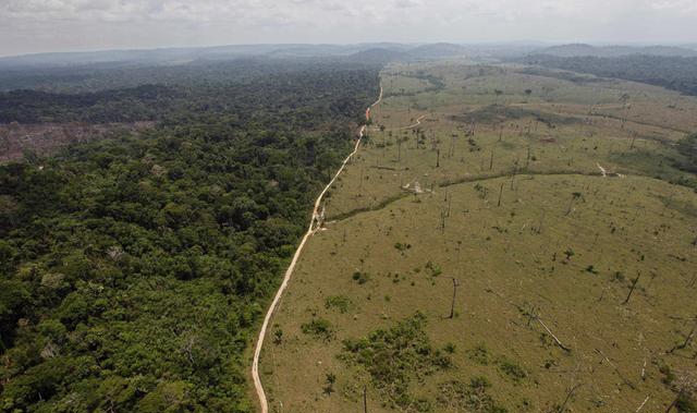 Deforestación de la Amazonia Deforestación de la Amazonia