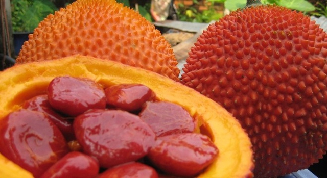 Gac, fruta común en Vietnam que contiene betacarotenos Gac, fruta común en Vietnam que contiene betacarotenos
