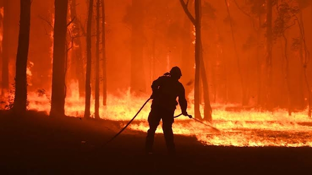 Incendio forestal en Nueva Gales del Sur