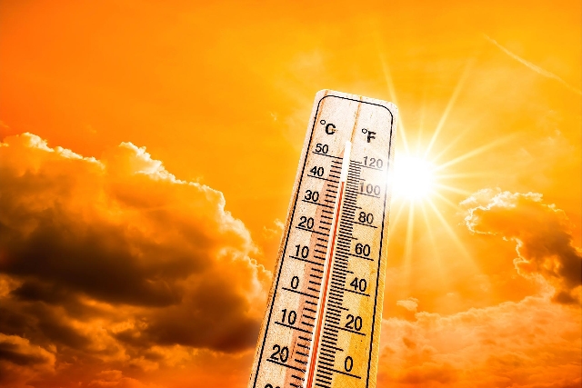 Ola de calor