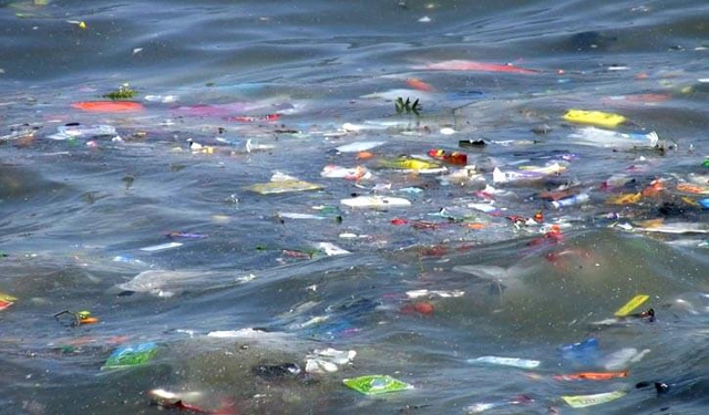 Contaminación del mar con plásticos Contaminación del mar con plásticos