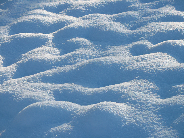 Campo nevado