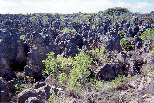 Relieve kárstico en Nauru