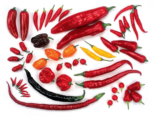 chiles